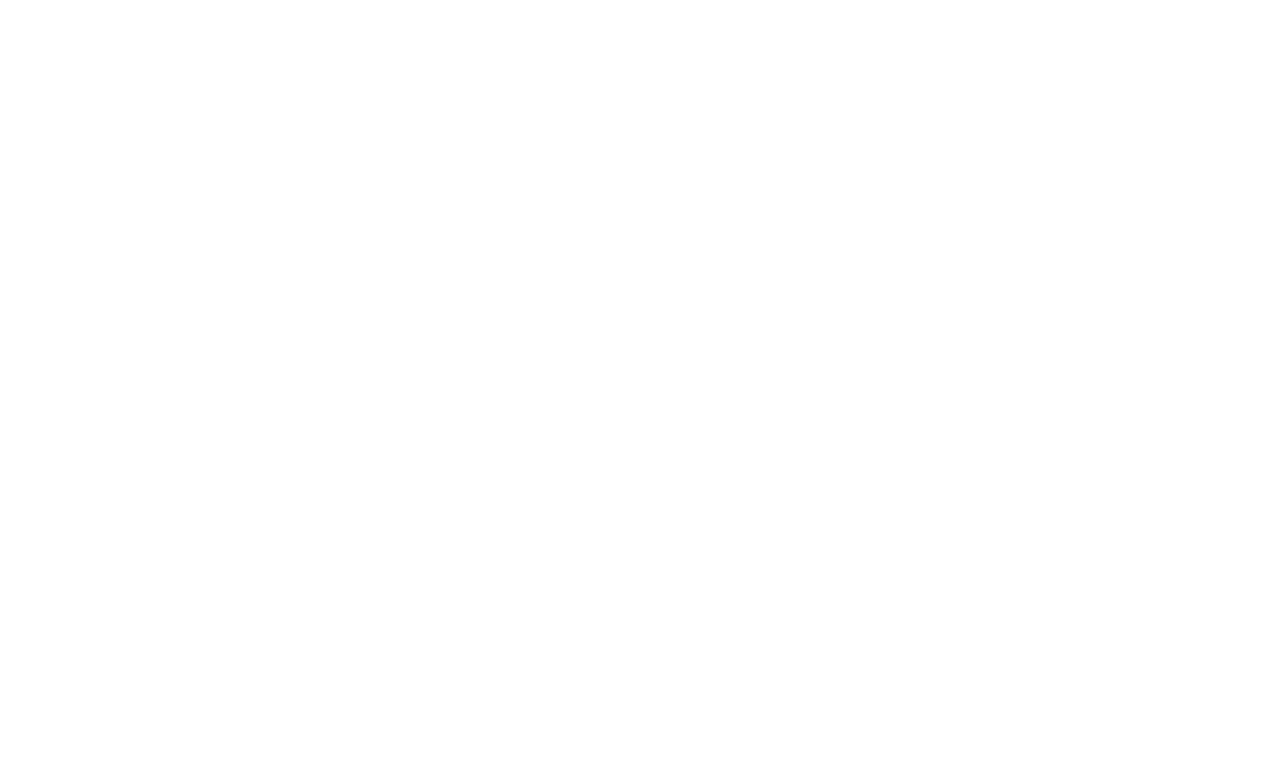 GARMIN WHITE
