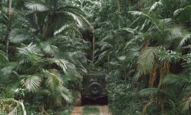 jeep driving through jungle