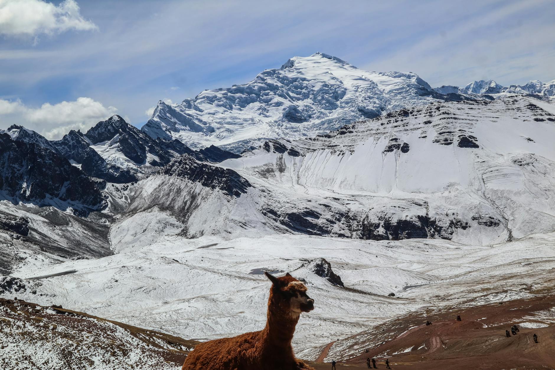majestic andes mountains with llama